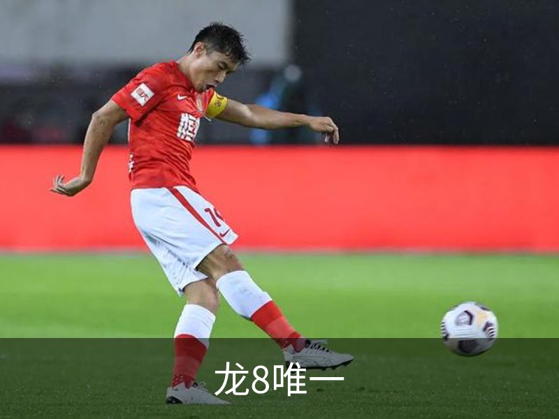 走进龙8唯一